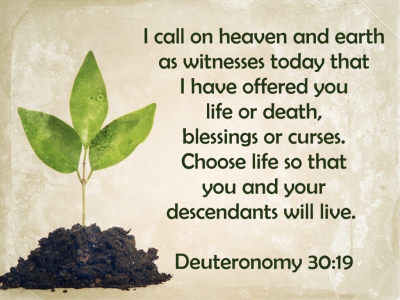 Deuteronomy30-19