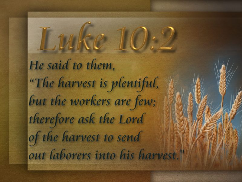Luke10-2 Harvest